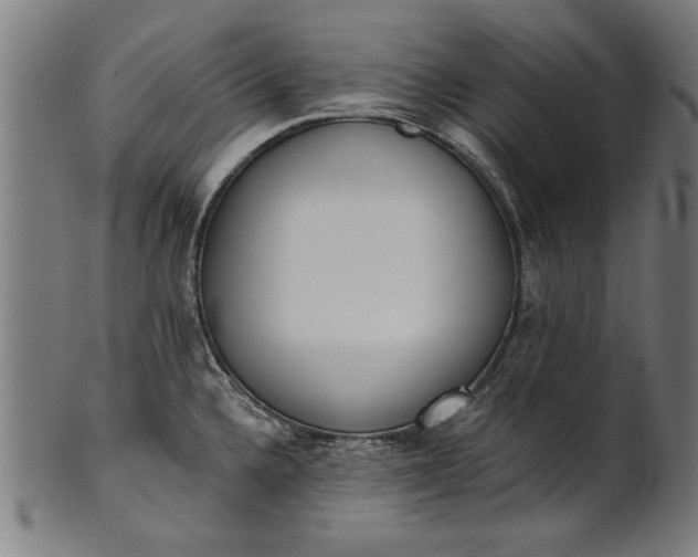 X0000101201336200807111000