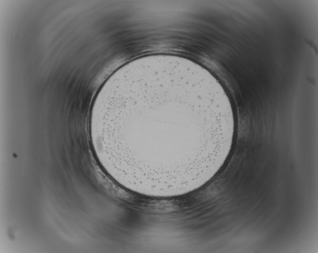 X0000101201338200807111000