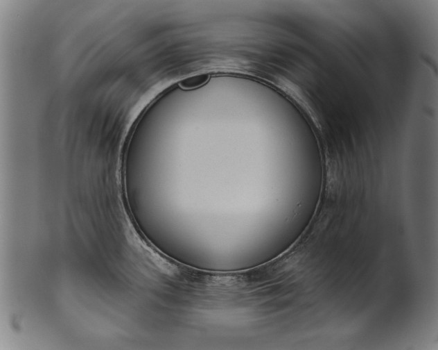 X0000101201339200807111000