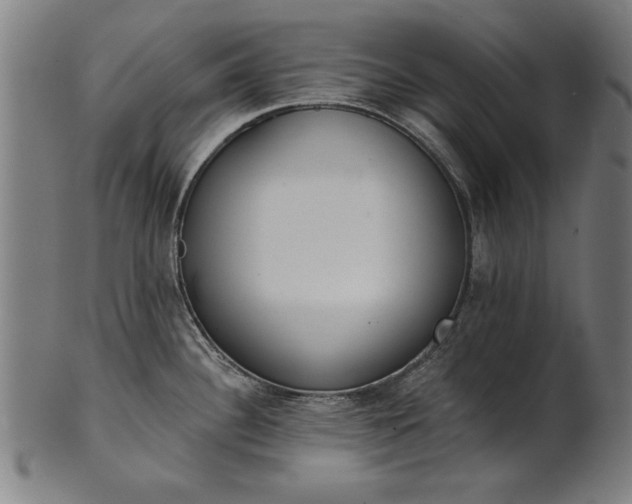 X0000101201340200807111000