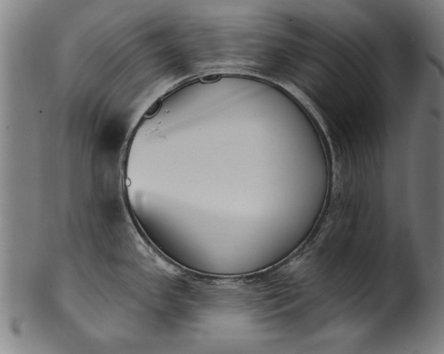 X0000101201341200807111000