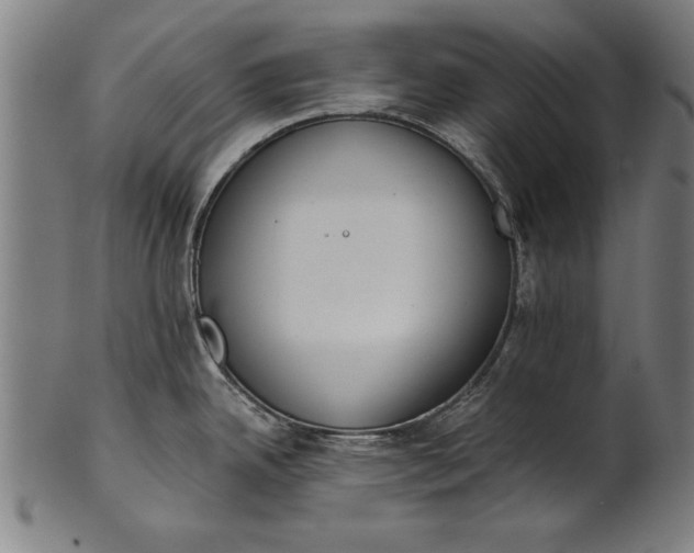 X0000101201342200807111000