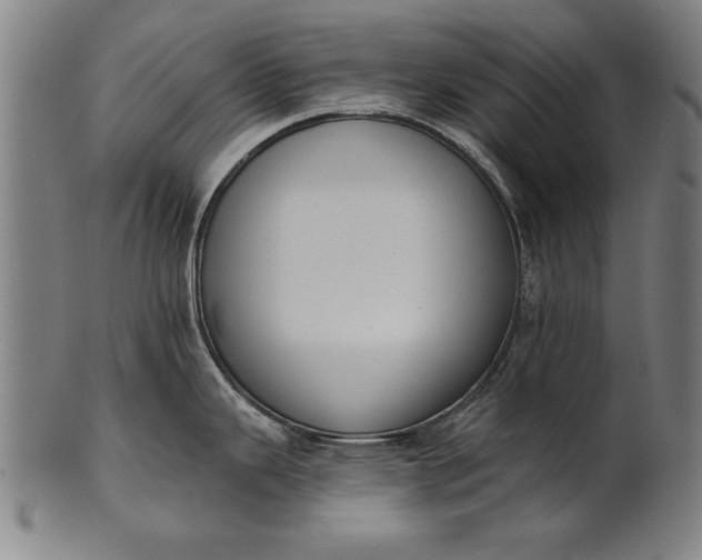 X0000101201343200807111000