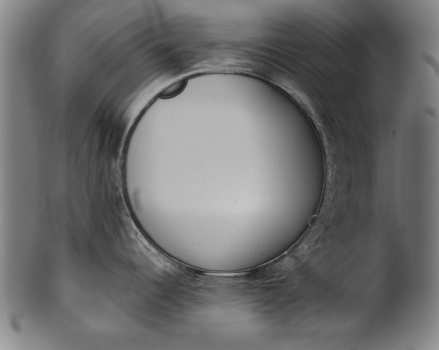 X0000101201344200807111000
