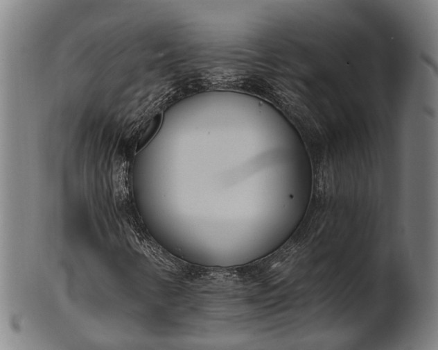 X0000101201346200807110959