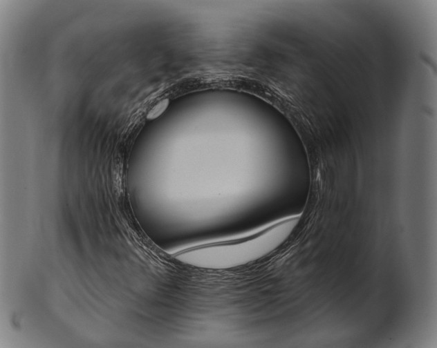 X0000101201348200807110959
