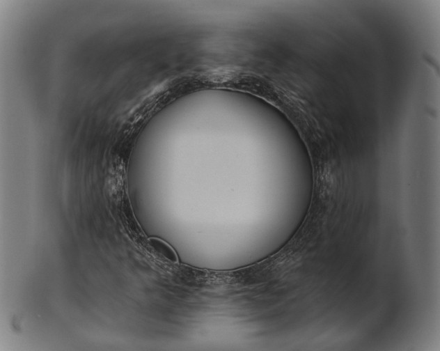 X0000101201349200807110959