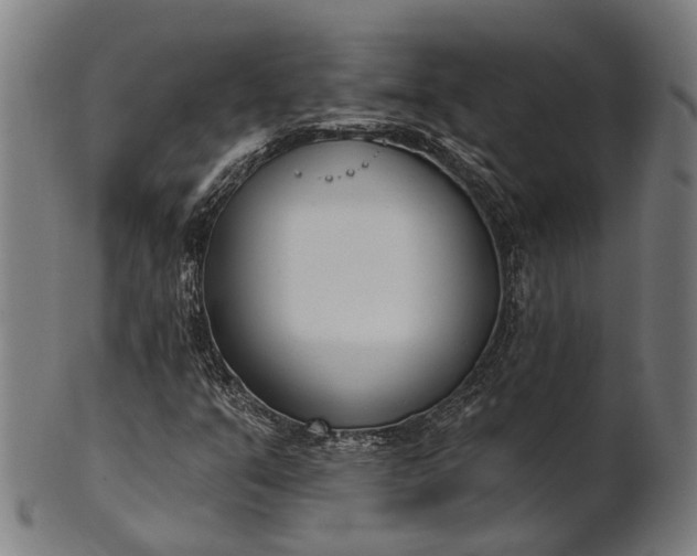 X0000101201351200807110959