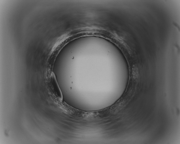 X0000101201352200807110959