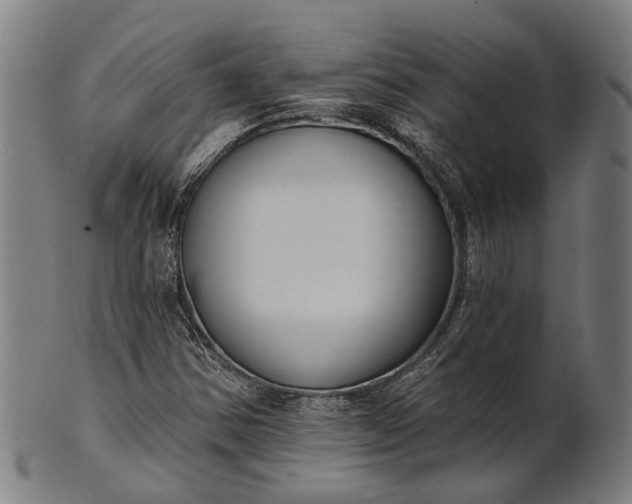 X0000101201354200807110959