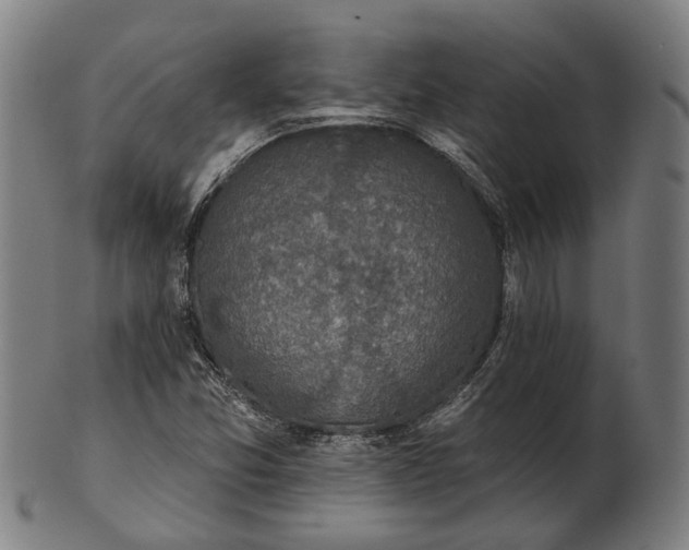 X0000101201357200807110959