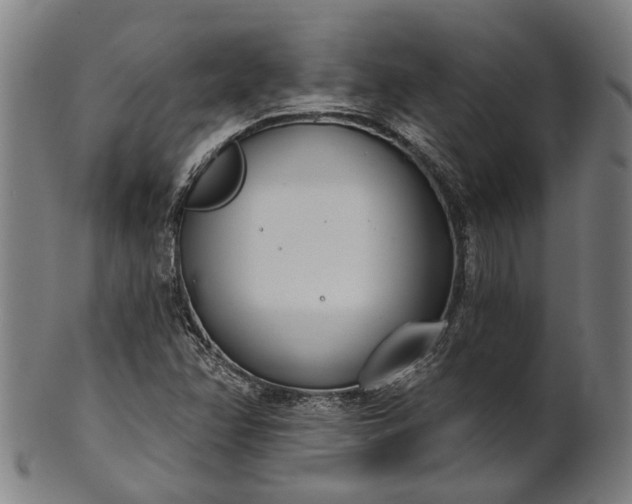 X0000101201358200807110959
