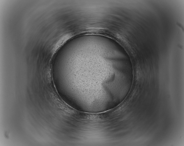 X0000101201362200807110959