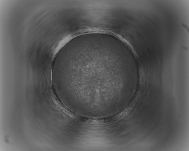 X0000101201365200807110959