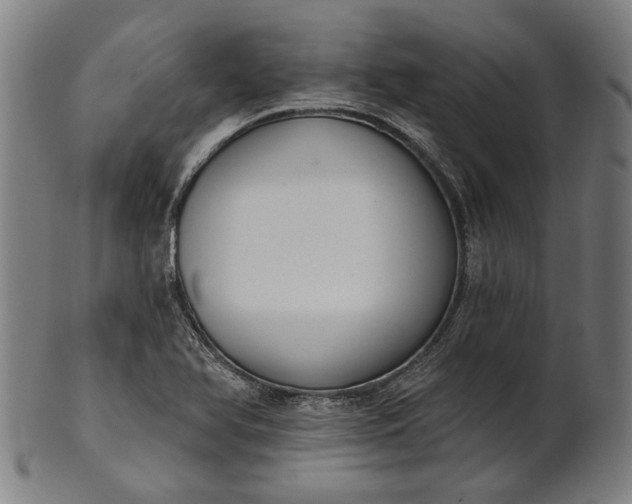 X0000101201366200807110959