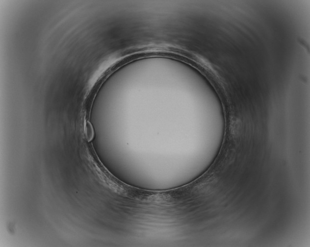 X0000101201368200807110959