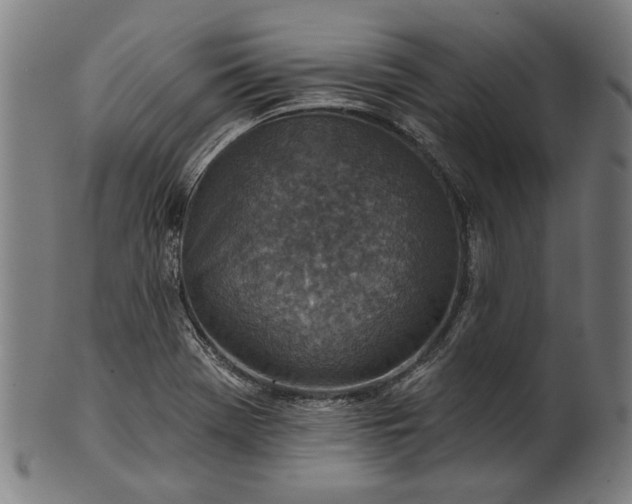 X0000101201369200807110959