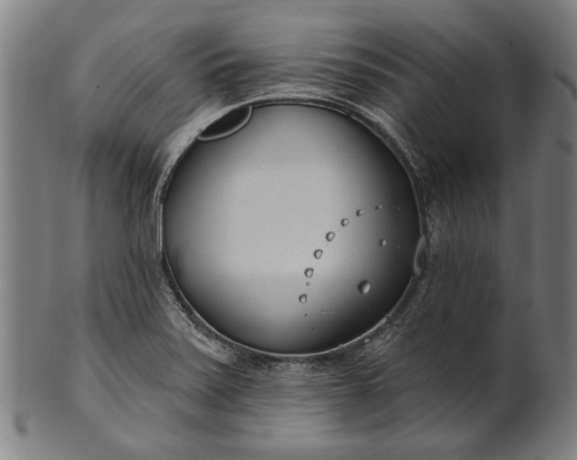 X0000101201371200807110959