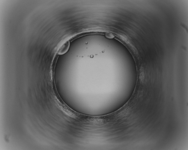 X0000101201372200807110959