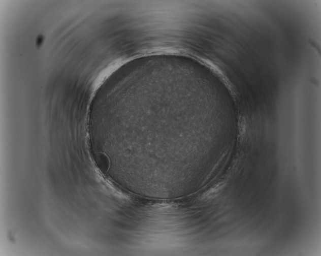 X0000101201373200807110959