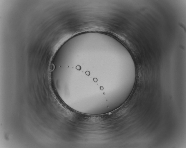 X0000101201375200807110959