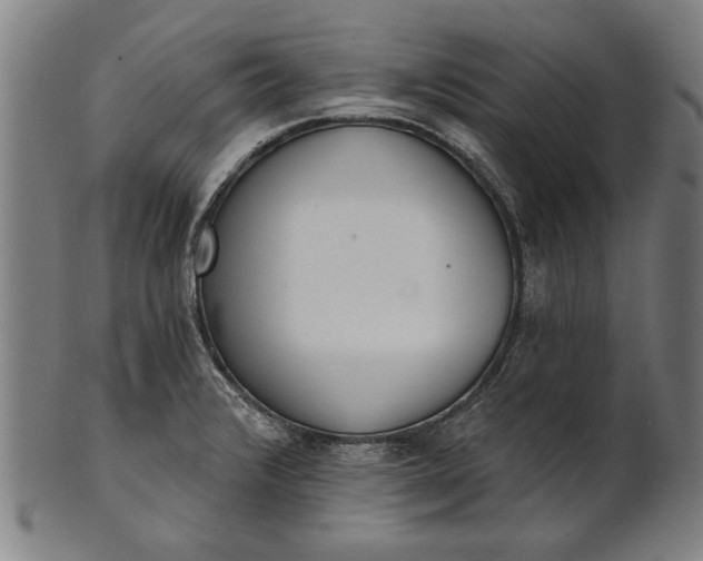 X0000101201376200807110959