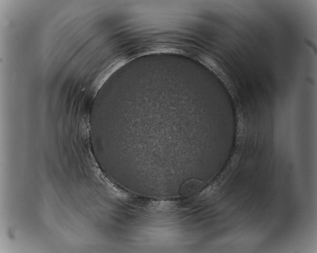 X0000101201377200807110959