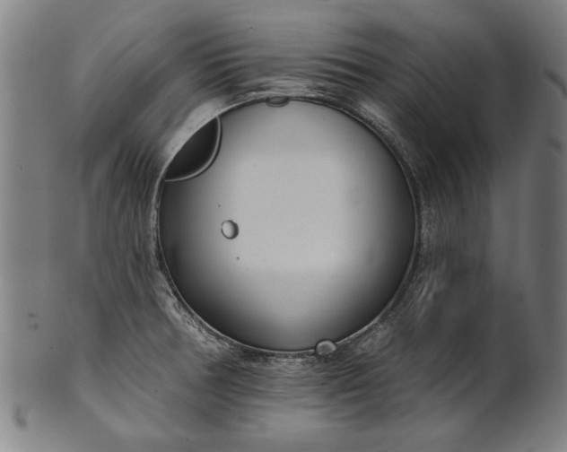 X0000101201378200807110959
