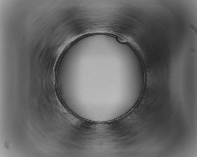 X0000101201380200807110958