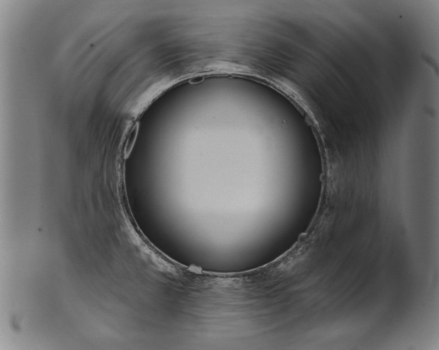 X0000101201381200807110958
