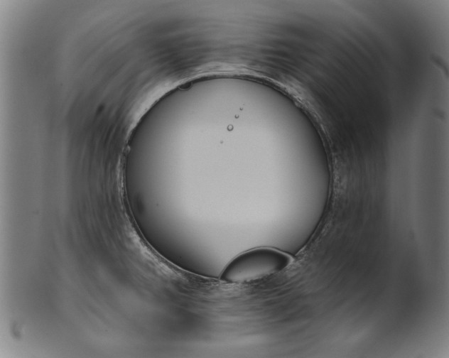 X0000101201382200807110958