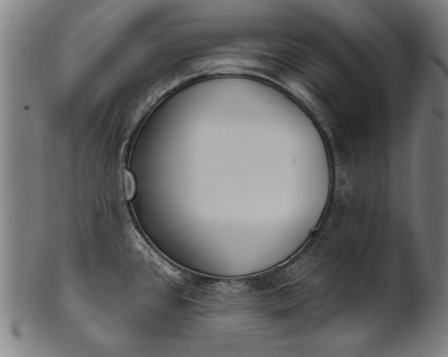X0000101201384200807110958