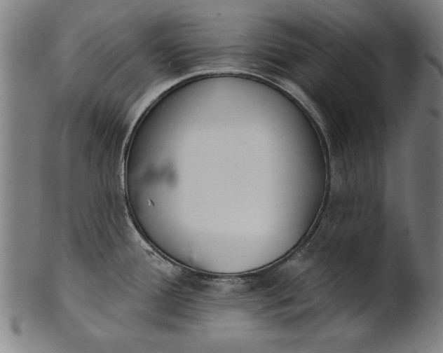 X0000101201388200807110958