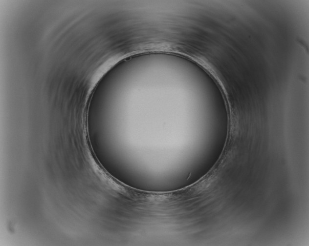 X0000101201389200807110958