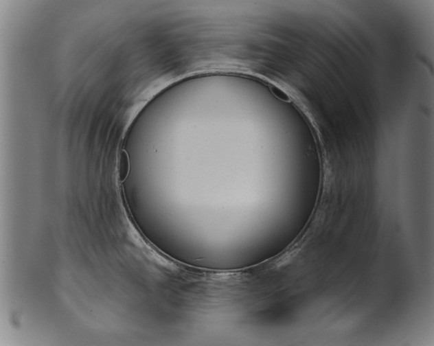X0000101201390200807110958
