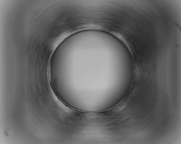 X0000101201391200807110958