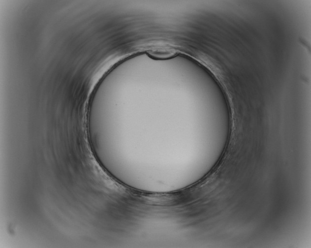 X0000101201392200807110958