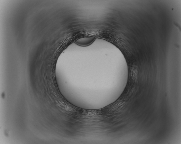 X0000101201393200807110957
