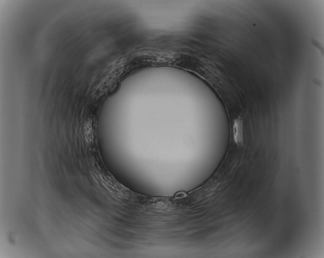 X0000101201395200807110957
