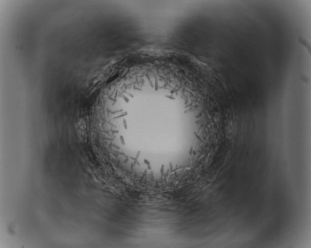 X0000101201397200807110957