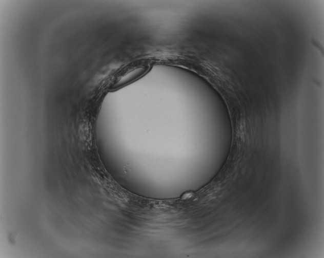 X0000101201398200807110958