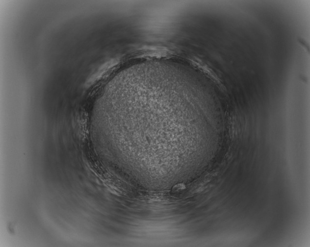 X0000101201399200807110958