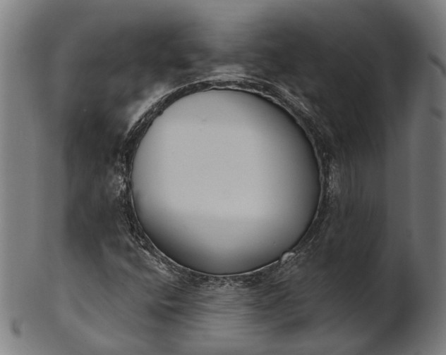X0000101201400200807110958