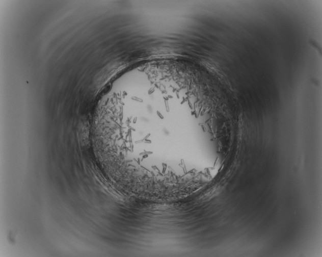 X0000101201401200807110958
