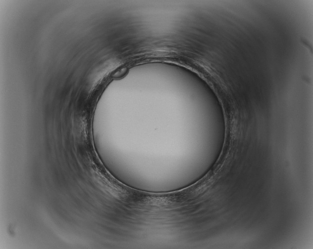 X0000101201402200807110958