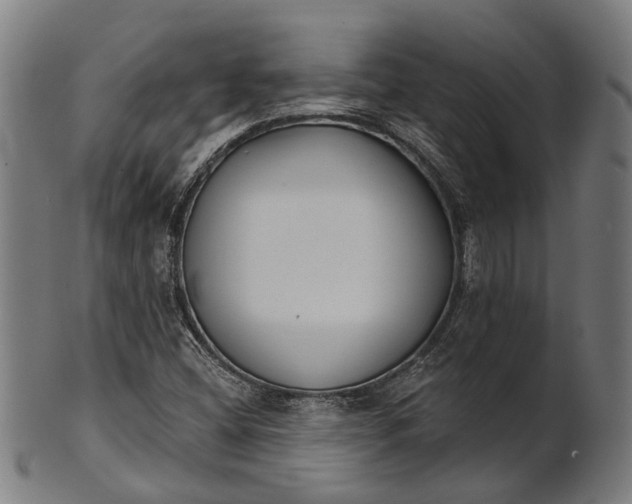 X0000101201404200807110958