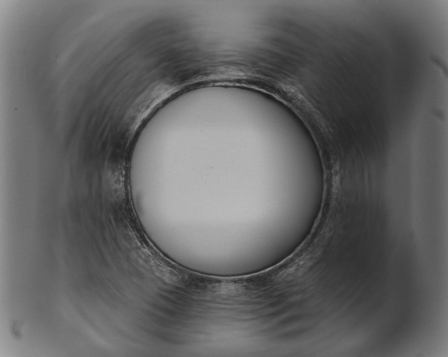 X0000101201409200807110958