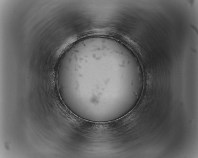 X0000101201411200807110958