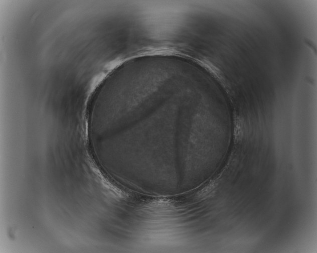 X0000101201414200807110958