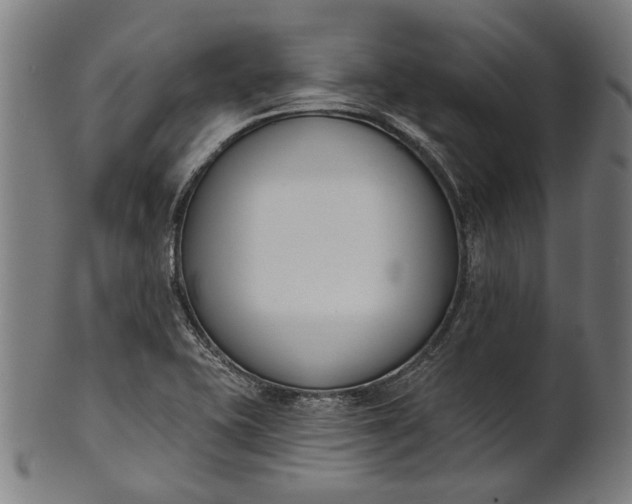 X0000101201415200807110958